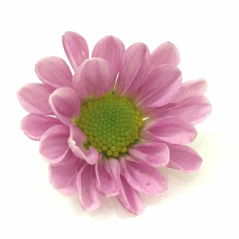 5695159a66f27cf746b3f02d