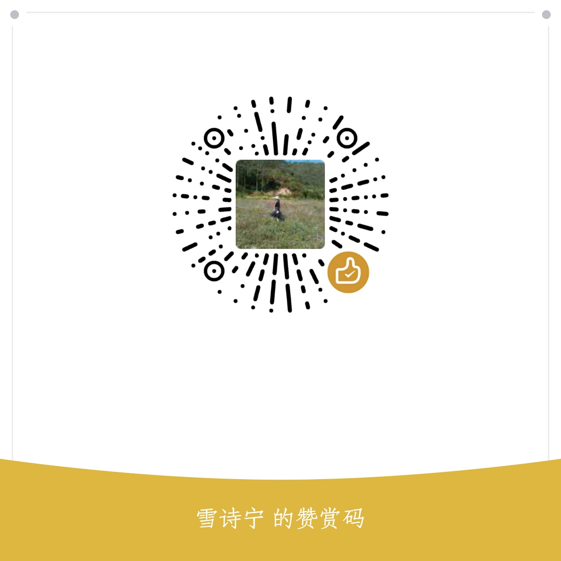 我的赞赏码