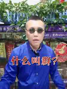 我的赞赏码