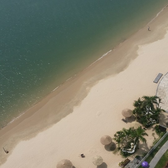 56159dc0591255b33a49b645