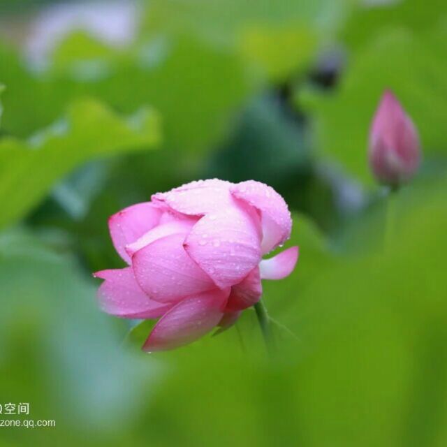 559606c3a574134a0ab357fd