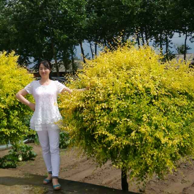 56a3f7ca64acd1a7323bbdd5