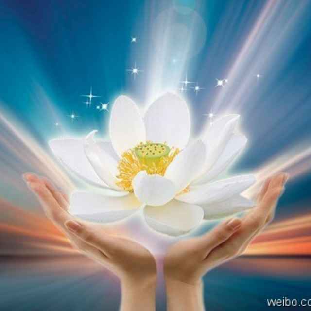 56f7a725030a903c0c6dfbd8